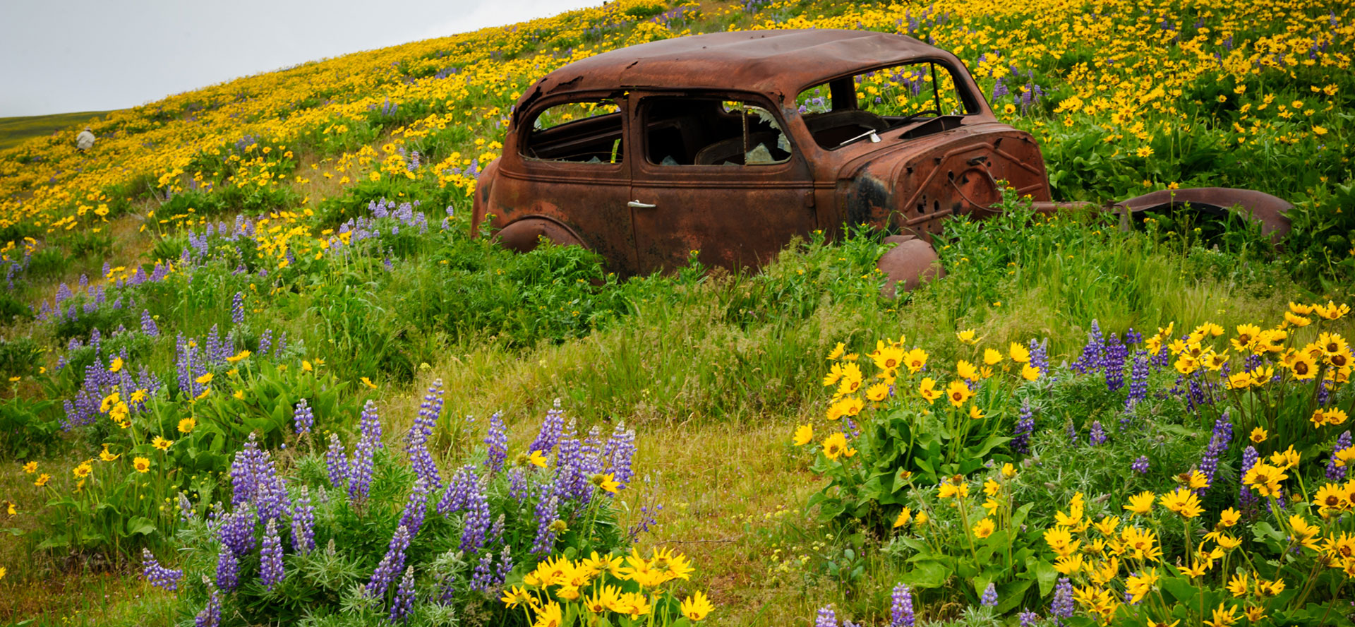 Vehicle Field