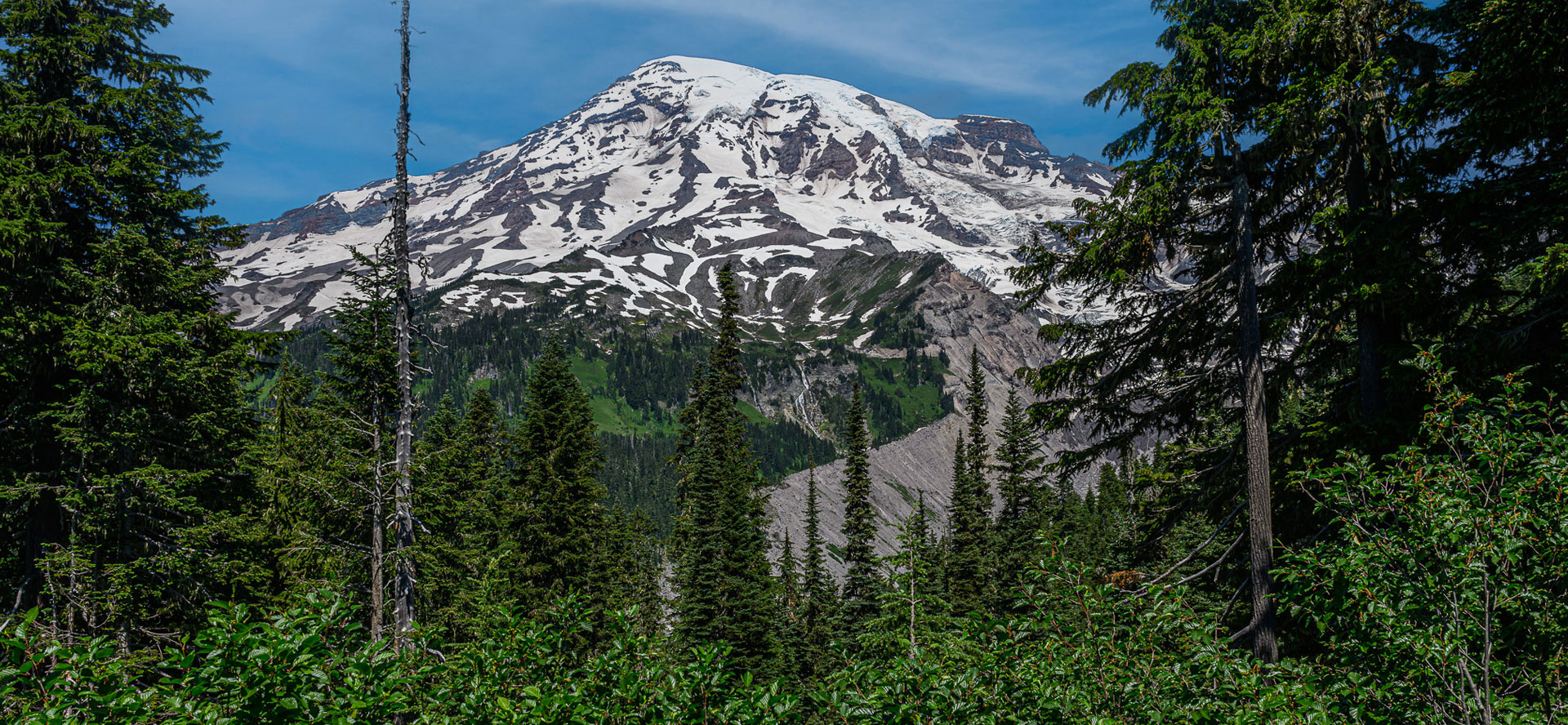 Mt. Rainier